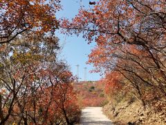 -北京西山国家森林公园