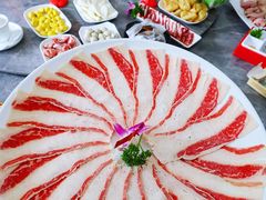 -鸽皇餐厅·清远吃鸽地标(东城店)