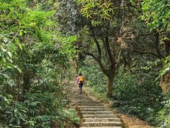 -黄埔油麻山森林公园