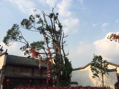 -婺源梦里老家大型山水实景演出