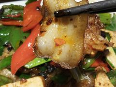 四川回锅肉-张氏宽窄巷成都名小吃(茂业百货华强北店)