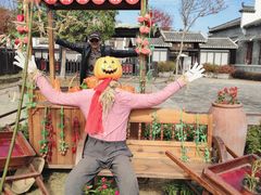 -武汉紫薇都市田园