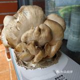种瓜得瓜 种豆得豆 种蘑菇得蘑菇 