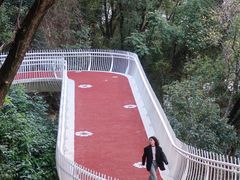 -金鸡山公园