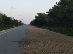 -三乐海鲜水饺馆