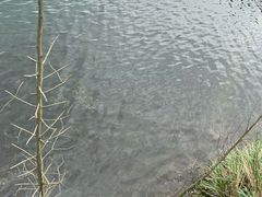 -仙海旅游度假区