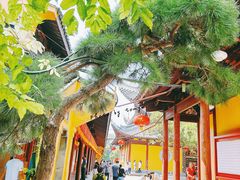 -龙华寺