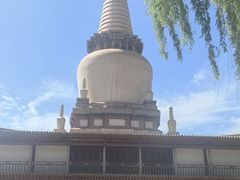 -张掖大佛寺景区