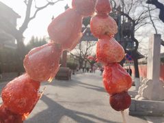 -北京国子监胡同