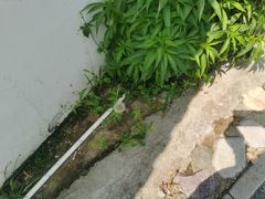 -荷塘味道(水长城店)
