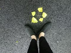 -合肥三国新城遗址公园