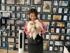 -汪说·狗咖(旺城大厦店)