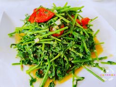 荔波水蕨菜-老马餐馆