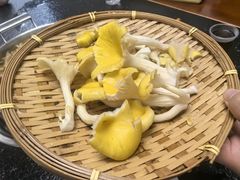 -菌极鲜野生菌火锅店(阳明祠店)