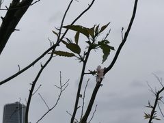 -上海山野camping·户外天幕烧烤·团建拓展营地