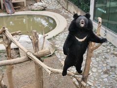 -石家庄市动物园