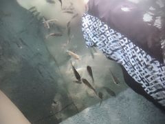 -天目湖涵田度假村