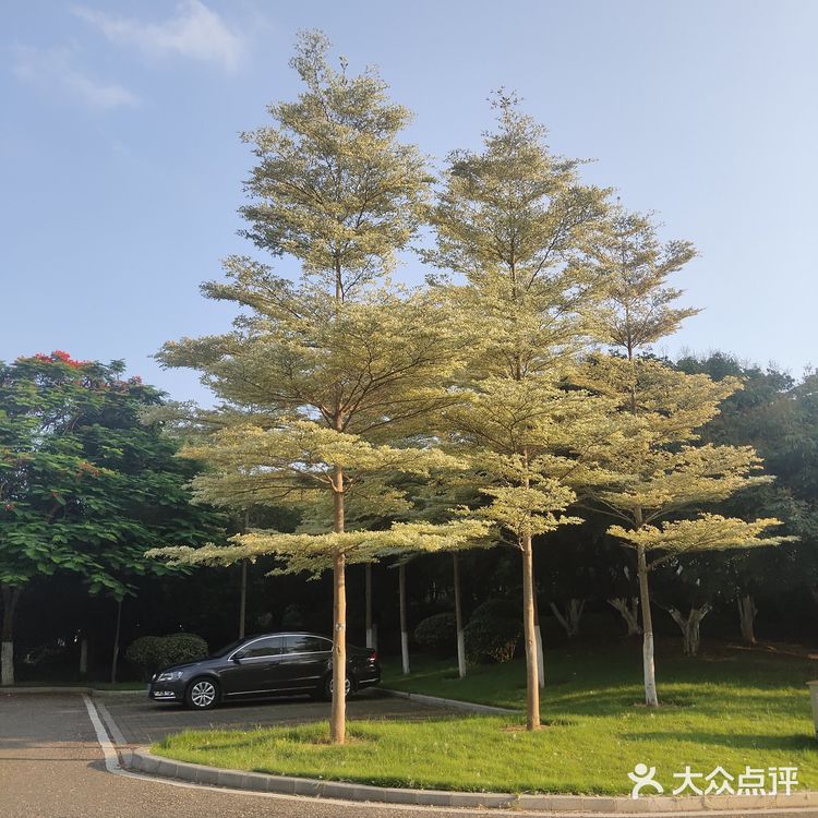 好喜欢的婚礼场地