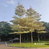 好喜欢的婚礼场地