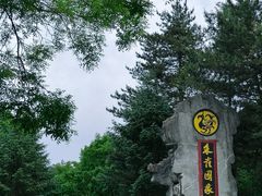 -朱雀国家森林公园