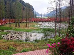 -广州市石门国家森林公园