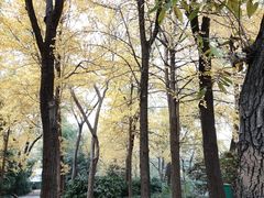 -上海野生动物园