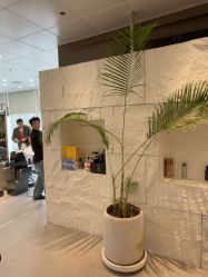 -BOF HAIR BY HONTO