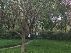 -木塔寺遗址生态公园