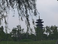 -洋湖国家湿地公园