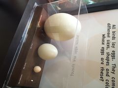 iphone_upload_pic-新加坡飞禽公园