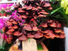 -秦美花卉(天朗·莱茵小城2期店)