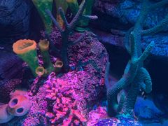 -沈阳海洋探索中心