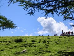 -芦芽山旅游度假区