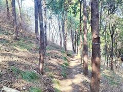 -佛慧山