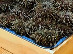 -鮨乐亭Omakase·海胆宴