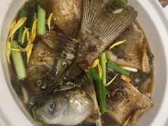 -龙悦湾酒家·八阵鱼生·渔人码头店