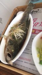 -千禧果月子会所(郑州东站店)