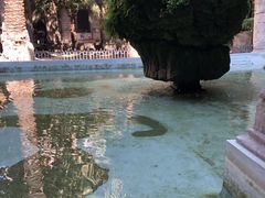 -巴塞罗那主教座堂