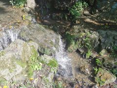 -天女山森林公园