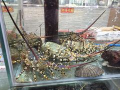 -寻味顺德·南记酒家·传统顺德菜·鱼生(广源路店)