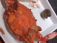 母飞蟹-苏大嘴海鲜牧场(奥林匹克店)