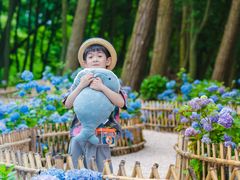 -共青国家森林公园-售票处