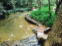 -杭州半山国家森林公园