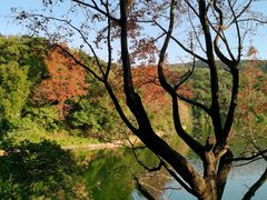 -广州市白云山风景名胜区