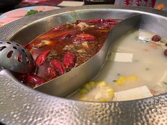 -麻田会 ·鲜活现烹·牛蛙火锅(珠江新城维家思广场店)