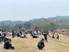 -铁山坪森林公园