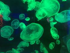 -多彩贵州城极地海洋世界