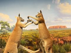 -陕西自然博物馆