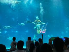 -福州罗源湾海洋世界旅游区