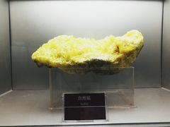 -甘肃地质博物馆